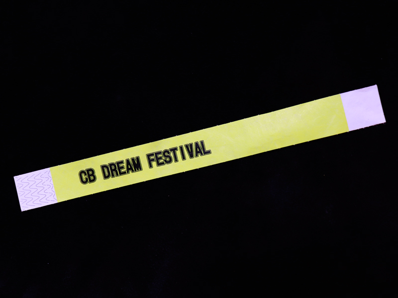 EVENT TICKET【CB DREAM FESTIVAL】 - Click Image to Close